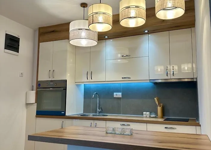 Vip House 4 * Vrnjačka Banja